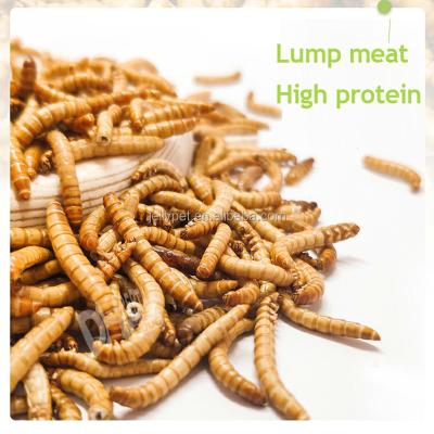 China Viable Bird Food Died Mealworms for Wild Birds, Chickens, Reptiles, Fish, Birds 10g 50g 180g 350g for sale