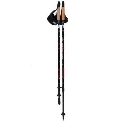 China Exercise Body 2020 Hot Selling Spring Outdoor Fitness Equipment Alum 6061 Sections Alum 6061 Nordic Walking Stick for sale