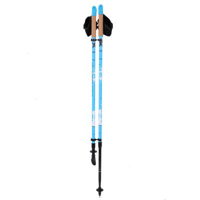 China 2020 hot sale two sections alum/carbon fiber Nordic walking stick /nordic walking poles spring exercise body for sale