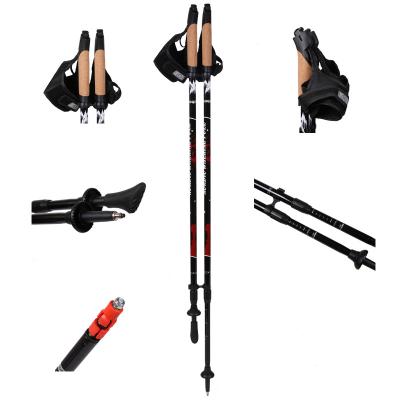 China 2020 Cork Hot Sale 2 Section Cork Handle Carbon Fiber Telescopic Increasing Poles Nordic Walking Poles for sale