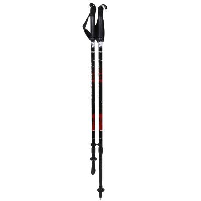 China 2020 Hot Selling PP Carbon Aluminum Fiber Folding Nordic Walking Sticks Telescopic Trekking Riser Poles for sale