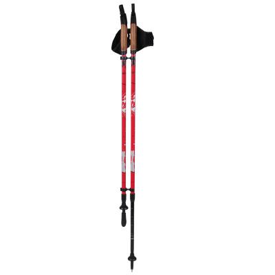 China 2020AQD Cork Hot Selling Ploe Trekking Pole Nordic Walking Pole,Walking Stick,Telescopic Climbing Pole for sale