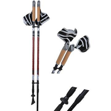 China Durable 2020 Sections AQD-B005 Two Sections Alum Pole Carbon Nordic Walking Poles for sale