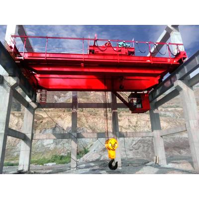 China Other SDCrane Custom Factory Price Latest New Arrivals Double Double Girder Crane for sale