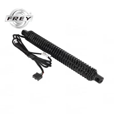 China For BMW F01 F02 730d 740i 750iX FREY Auto Parts Shock Absorber For BMW F01 F02 730d 740i 750iX Shock Absorber Hot Selling 51247185713 for sale