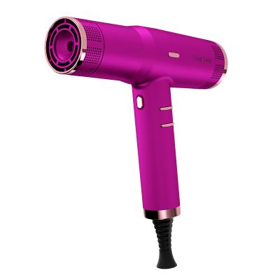 China Hot Selling Professional Ionic 2022 BLDC 1800W Salon Hair Dryer For Travel Hair Dryer for sale