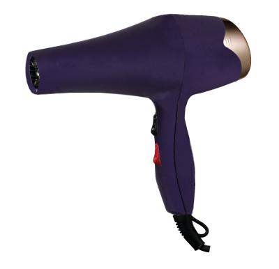 China Ionic Detachable Magnet Back Cover Professional Salon Hair Dryer Blow Dryer for sale