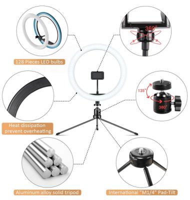 China China Professional Manufacture 10 Inch Professional Makeup LED Ring Light Shooting LED Light SLK-RL010(W) for sale