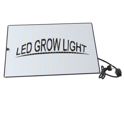 China Seed Starting Ideal Artificial Sunlight Quantum Led Grow Light Green Energy Environment Dimming Long Life High Brightness To Grow Light 400W for sale