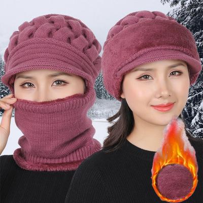 China Warm Wool Knitted Women's Breathable Double Layers Protective Coral Fleece Winter Hat Beanies Winter Hats And Scarf COMMON for sale