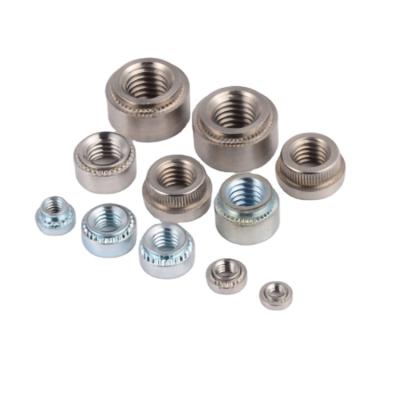 China High Quality Heavy Industry Hardware Accessories Stainless Steel Drive In Self Hanging Nuts for sale