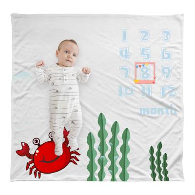 China Hot Sale Anti-pilling Wholesale Price Background Good For Photography Softest Monthly Baby Milestone High Quality Blanket for sale