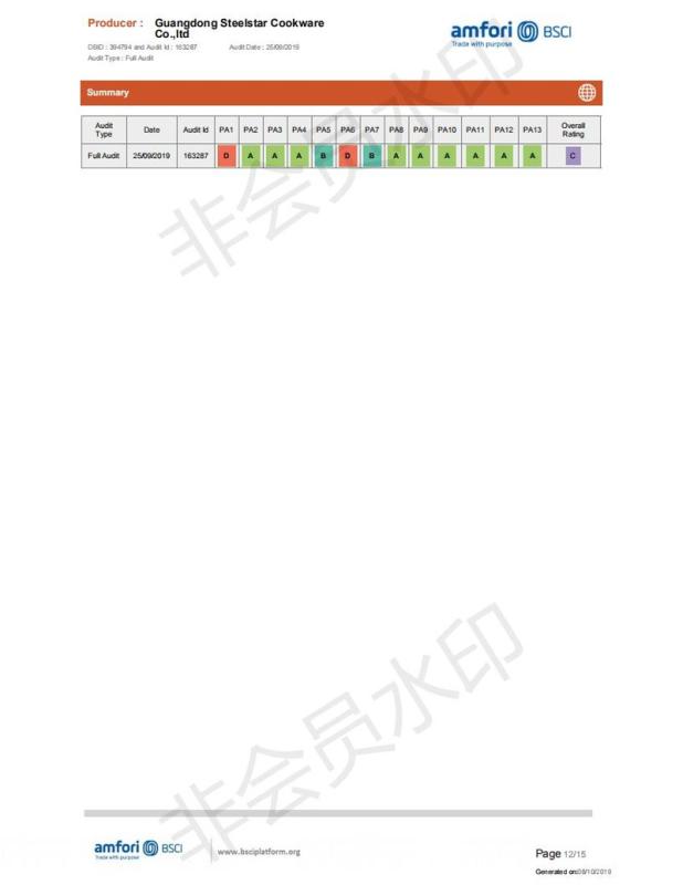 BSCI - Guangdong Steelstar Cookware Co., Ltd.