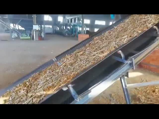 Biomass pellet production line