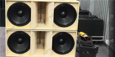 China 4Ohm 1600W Live Sound Speakers 2x18