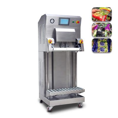 China Vertical External Type Food Machine Larger Chia Case Food Rice Grain Herb Chia Bag Vacuum Sealer Vacuum Sealer Packing Machine for sale