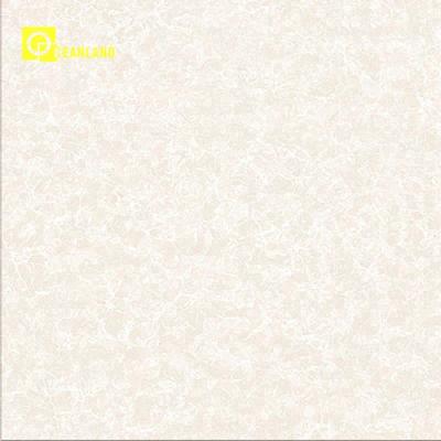 China Kajaria Polished Tiles White Polished Ceramic Tile Tile 80x80 for sale