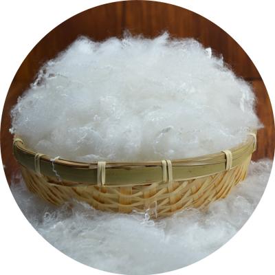 China High Elastic Antistatic PP Cotton Hollow Fiber Filled Cotton Manufacturers Wholesale Price for sale