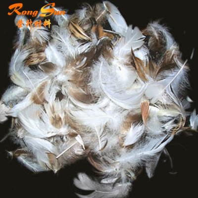 China Duck Feather Hot Selling 2-4cm Nature Washed White Duck Feather for sale