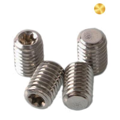 China #2 #4 #6 #8 #10 Stainless Steel Worm Flat Torx Set Screw for sale