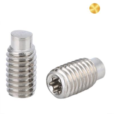 China China Wholesale Flat Socket Worm Screw 304 Stainless Steel Torx Set Screw for sale