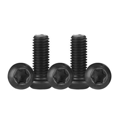 China Pan Black Oxide Socket Knob Torx Head / Head / Pan Head Security Screw Countersunk With Center Pin for sale