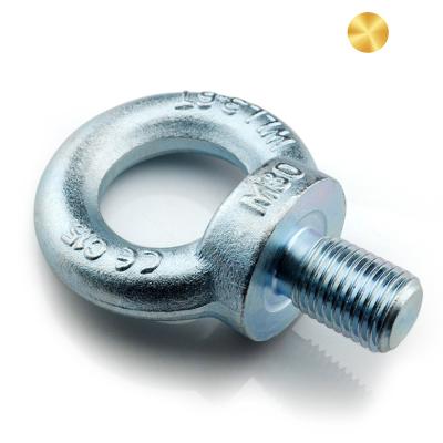 China DIN580 M10 M12 M20 Electrical Equipment Carbon Steel Forged Metric Galvanized Eyebolt for sale