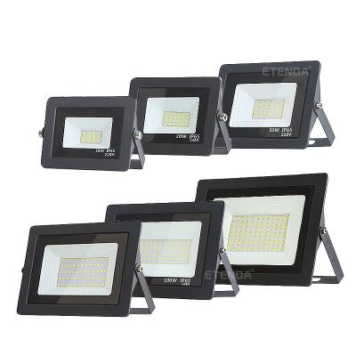 China Theme park ETENDA ip66 10w20w30w50w100w200w6500K high brightness outdoor cheap flood light for sale