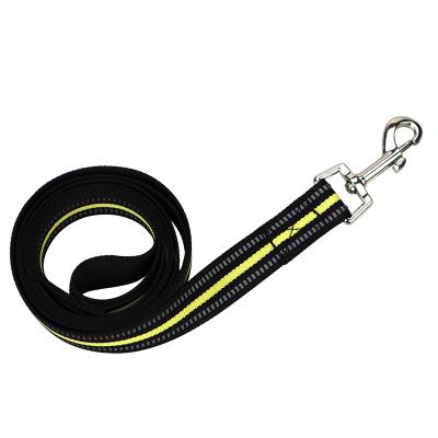 China Viable Fashion Dragon Webbing Dog Leash Soft Luxury Detachable Nylon and Durable Waterproof Color Dog Leash for sale