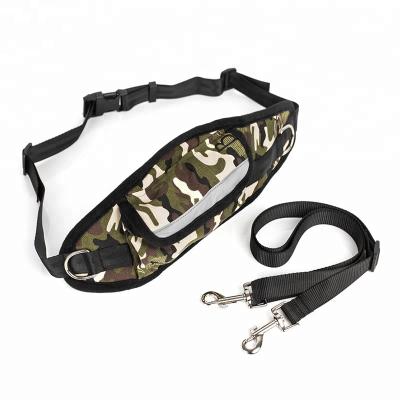 China Small And Large Dogs Application Thoughtful Leash Dog Sustainable Jogging Leash Advance for sale