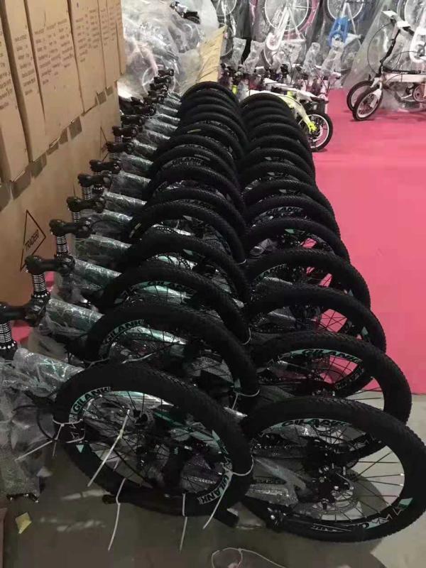 Verified China supplier - Xingtai Pengsen Bicycle Co., Ltd.