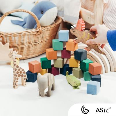 China GCC/G toy brand issues ASTC certificate for sale