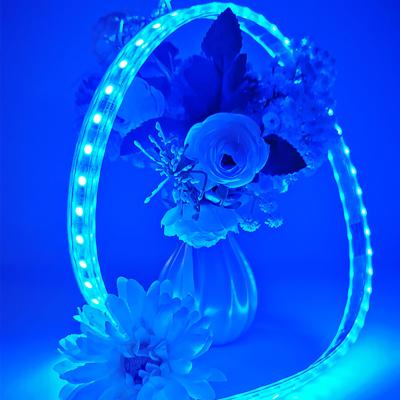 China LANDSCAPE Pools DC24V led strip light ip68 waterproof rgbw led strip lights pvc material changeable color underwater led strips for sale