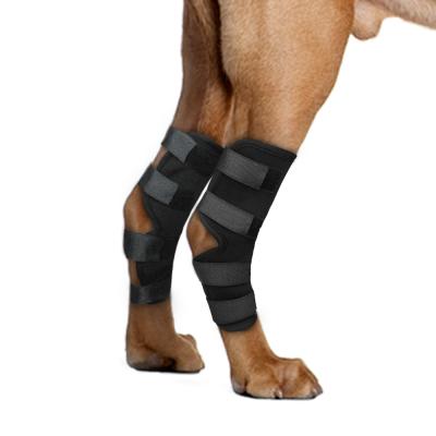 China Dog Cat Dog Cat Viable Response Custom Pad Leg Brace Adjustable Pet Support Adjustable Pet Knee Support for sale