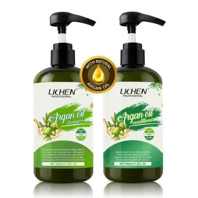 China 100% Natural Moroccan Argan Oil Loss Prevention Hair Grow Shampoo Salon Private Label Shampoo and Conditioner Set Custom for sale