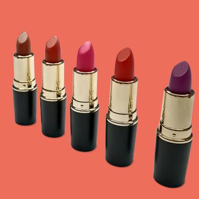 China 2021 Waterproof Nude Dye Lipstick Private Label Lipstick High Quality Luxury Matte Red Lipsticks 20 Shades for sale