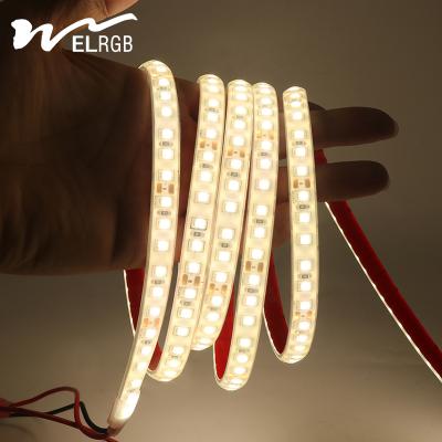 China IP68 Dimmable LED Strip Lights 12V 24V Under Cabinet Led Strip Lighting Dimmable for sale