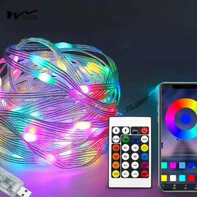 China Outdoor Stall Leather Wire Light Seven Color RGB for Intelligent Control and Ambiance for sale