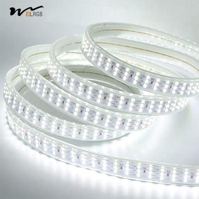 China Transparent Shadow Color LED Flexible Strip Lights 276led/m for Garden Outdoor Decor for sale