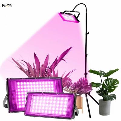 China Seed Starting 50W Full Spectrum Plant Lamp with Stand LED Standing Floor Grow Light for sale