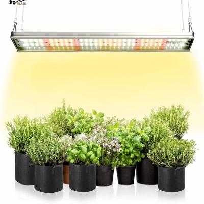 China Plantas de cozinha de crescimento essencial de luz de planta de espectro completo atualizado com 5000K 3000K à venda