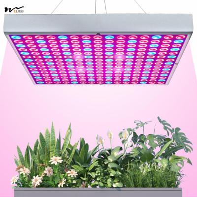 China Grow Light Room 75W LED Plant Growth Lamp 225 LEDs UV IR Red Blue Full Spectrum Bulb Panel for sale