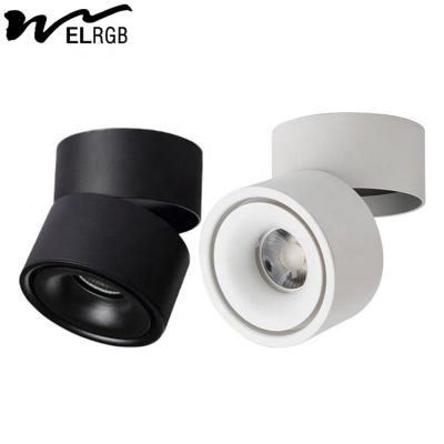 China Remote Control Switch Mode LED Cylindrical COB Open-Mounted Downlights for Smart Home for sale