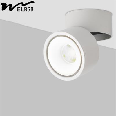 China Household LED Cylindrical Light for Onsite Metering and Smart Home Lighting Solutions for sale