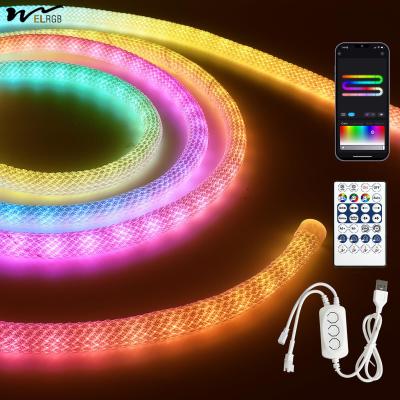 China 9.8ft Neon Light with USB RGB Smart IC IP65 Waterproof 50LED/M App Controllable for sale