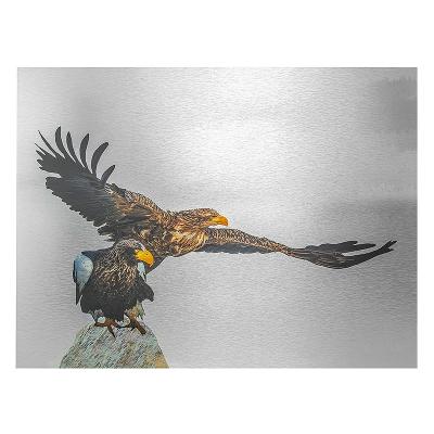 China Modern Eagle Spreading Wings Photo Printing on Aluminum Metal Art Decor UV Printing Wall for sale