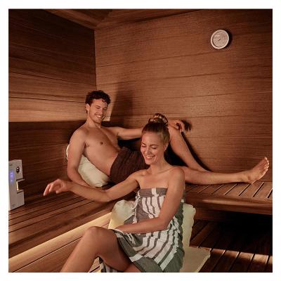 China Hot Selling Commercial Computer Control Panel Infared 4 Person Sauna Steam Bath Outdoor for sale