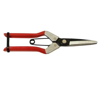 China Anti-Slip Handle (GD-10150A) 210 mm Floral Fruit Scissors Shears Gardening Tools for sale