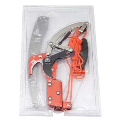 China Long Length (GD-19528) 2-Pulley Ratchet Tree Pruner with 2-Section Garden Shears for sale