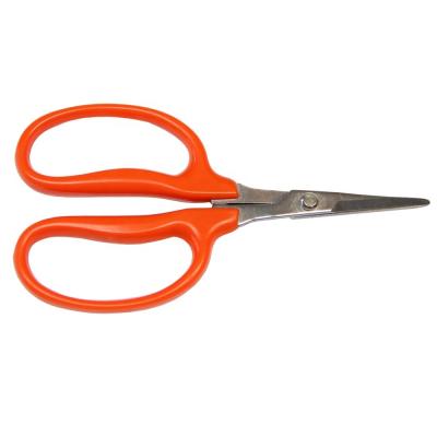 China Fruit Scissors (GD-11641) 155mm Grape Scissors - Straight Blade for sale